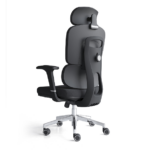 High Back Orthopedic Office chair